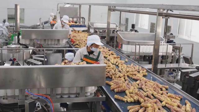 吉林省预制菜产业步入发展快车道
